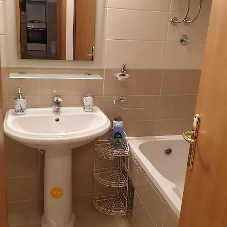 Apartment Apartman Vasiljevic