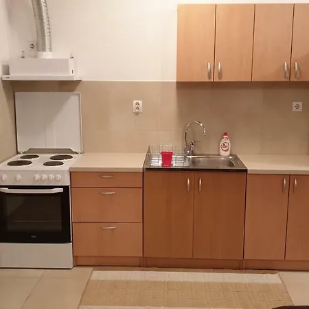 Apartment Apartman Vasiljevic *